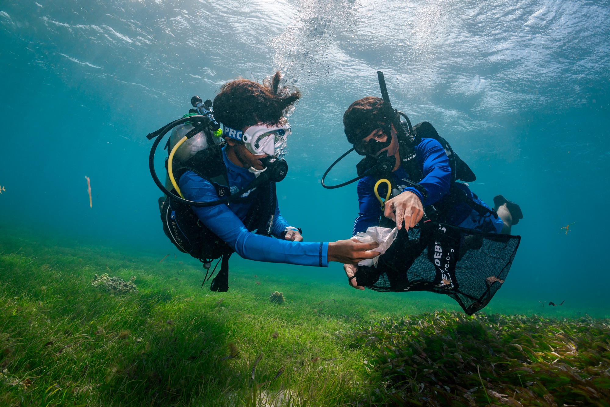 Diving with purpose — marine conservation